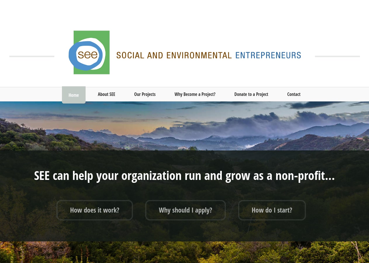 Image of Social and Environmental Entrepreneurs website